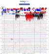 Helicorder image archive