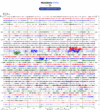 Helicorder image archive