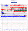 Helicorder image archive