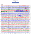 Helicorder image archive