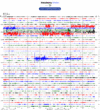 Helicorder image archive