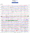 Helicorder image archive