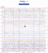Helicorder image archive