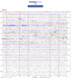 Helicorder image archive
