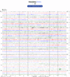 Helicorder image archive
